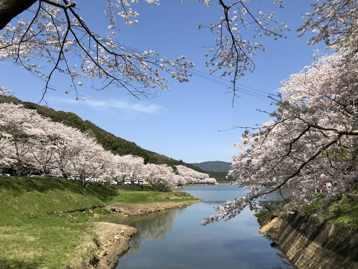 🌸 니와키 댐 이미지 9